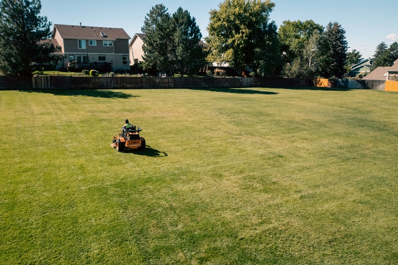 Wide, evenly watered backyard lawn with a Curascapes mower